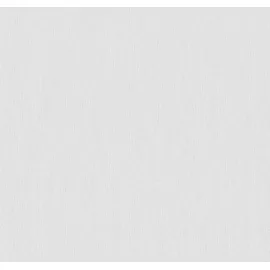 Erfurt Vliestapete Basic 107 53 cm 10,05 m weiß 34107