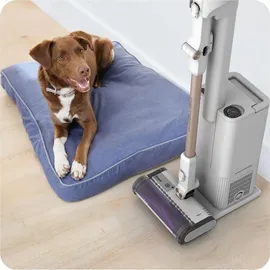 Shark Detect Akku-Handstaubsauger