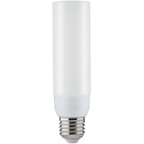 PAULMANN 29059 LED Deco Pipe E27 520lm dimmbar Satin Kunststoff 2700K - G) Stabform 5,5W Warmweiß (Ø x H) 38mm x 142mm 1St.