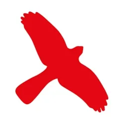 Vogelschutz Aufkleber für Fenster - 180x115 mm Folie selbstklebend