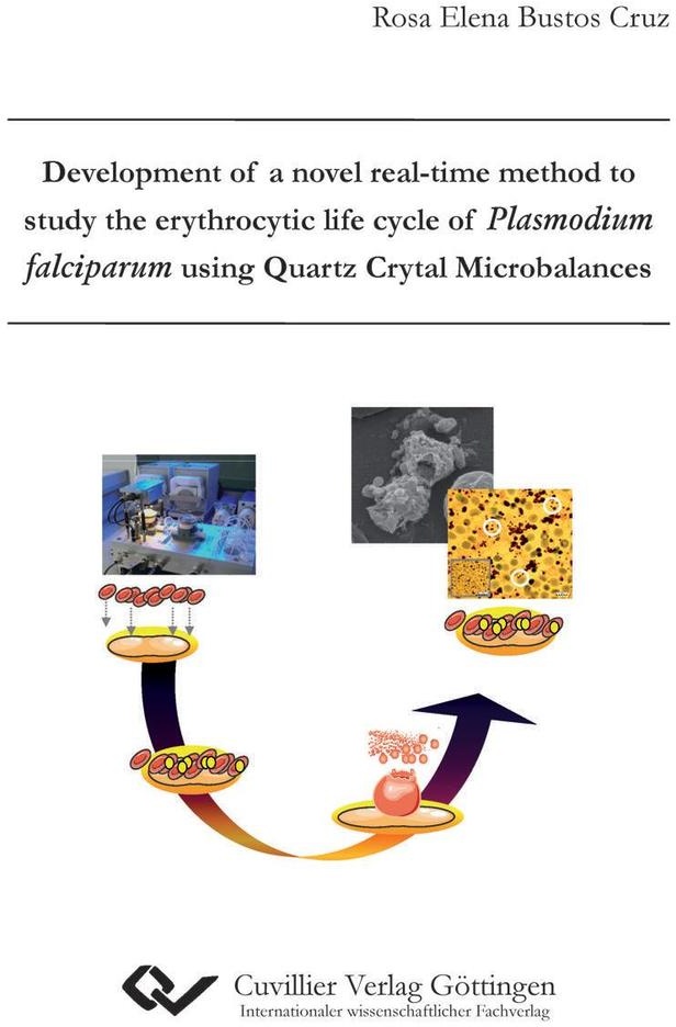 Development of a novel real-time method to study the erythrocytic life cycle of Plasmodium falciparum using Quartz Crystal Microbalances. Entwickl...