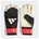 Predator Training Black/Black/Lucid Red 11