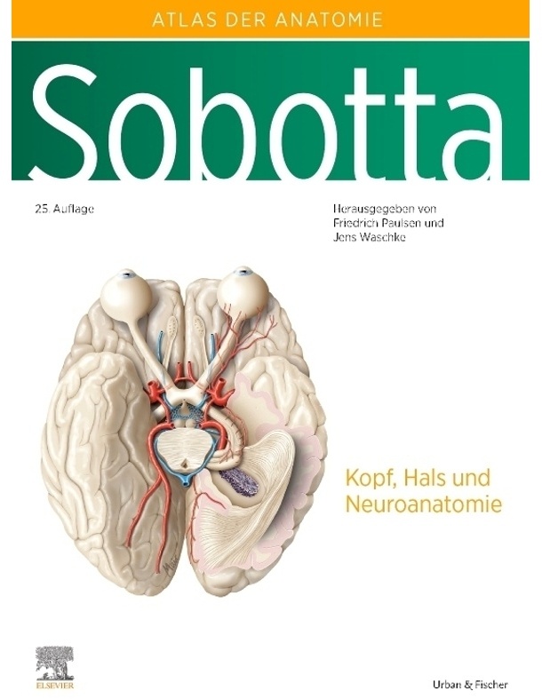 Sobotta, Atlas Der Anatomie Des Menschen Band 3 - Atlas der Anatomie des Menschen Band 3 Sobotta, Gebunden