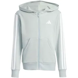 adidas Essentials Full Zip Hoodie Wonder Sage/White 170