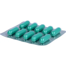 Hepar-SL 640 mg Filmtabletten 20 St.
