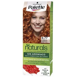 PALETTE PALETTE NATURAL tinte - #8.77