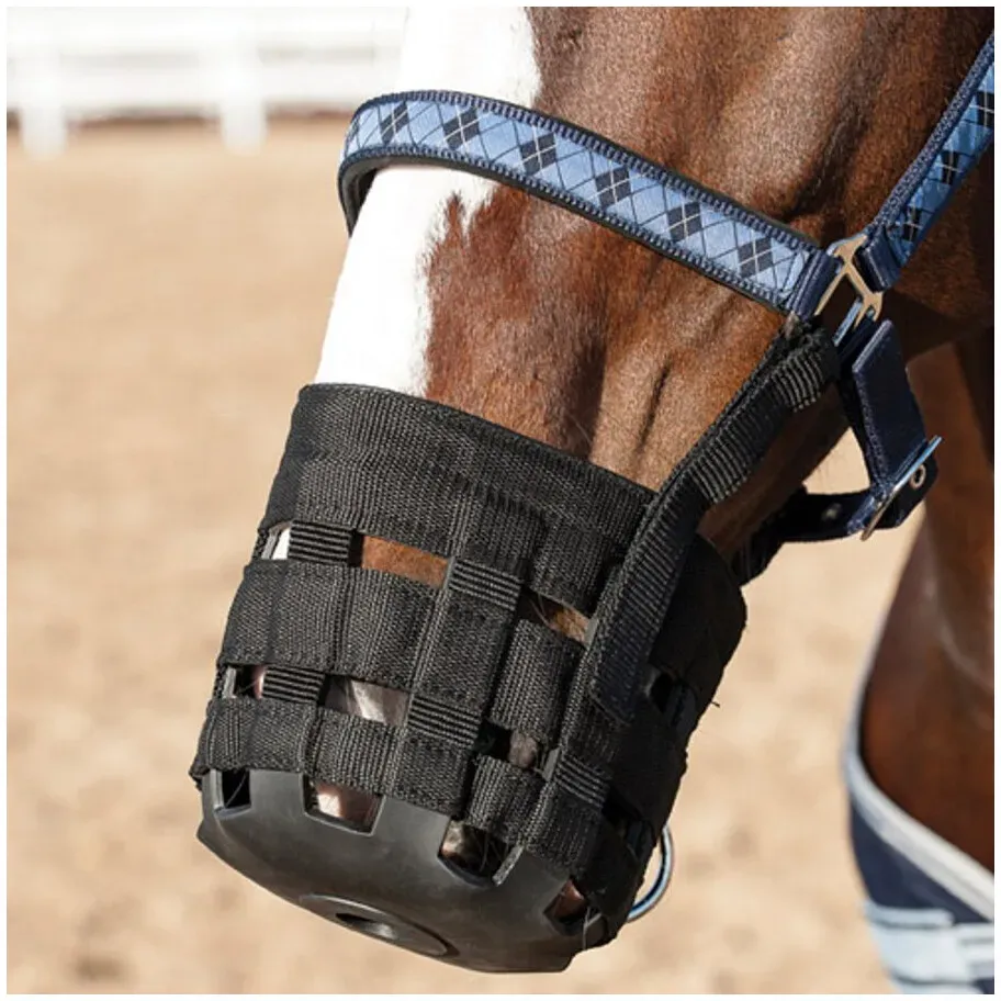 ELDORADO Weidemaulkorb - Warmblut