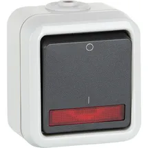 PEHA by Honeywell Peha Wippschalter D 622 WAB GLK
