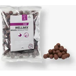 Boilies Wellmix Spicy Birdfood 20 mm 1 kg EINHEITSFARBE No Size