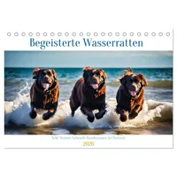 Calvendo Begeisterte Wasserratten (Tischkalender 2026 DIN A5 quer), CALVENDO