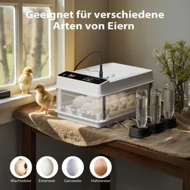 fudajo Vollautomatischer Flächenbrüter für 36 Eier 45 W