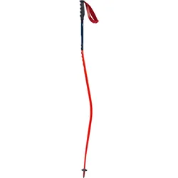 Swix WC Pro Downhill (000) 135cm