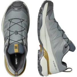 Salomon X Ultra 360 Wanderschuhe - Sedona Sage / Wrought Iron / Brilliant - EU 44 2/3