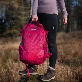 CUBES Campus 30 l rosa