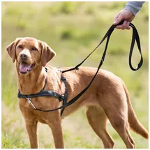 Trixie Lead'n'Walk Soft