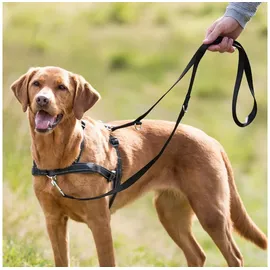 Trixie Lead'n'Walk Soft