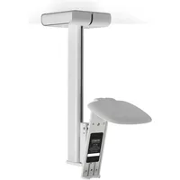Flexson Sonos One, One SL und Play1 Deckenhalter