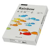 Rainbow 88042808 Farbiges Kopierpapier DIN A3 500 Blatt, Grau