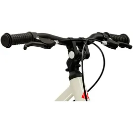 KROSS Lightweight Liftie 14 Zoll RH 0 cm grau