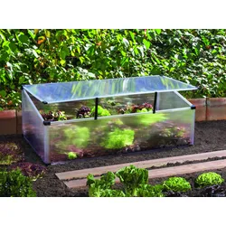 Vitavia Frühbeet Feronia mit Aufstelldach alu-natur
