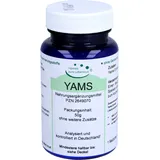 G & M Naturwaren Import GmbH & Co. KG Yams Wurzel Pulver 50 g