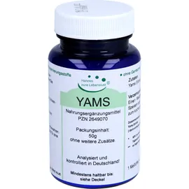 G & M Naturwaren Import GmbH & Co. KG Yams Wurzel Pulver 50 g