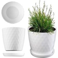 Kadax Blumentopf, EIN Topf für Blumen und Pflanzen mit