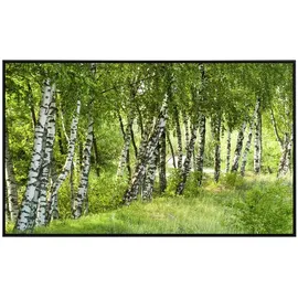 Papermoon Infrarotheizung Birkenwald 600 W bunt