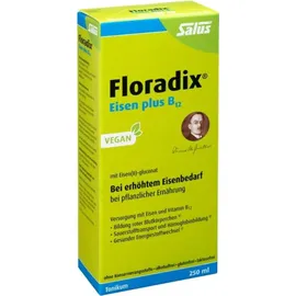 SALUS Floradix Eisen plus B12 Tonikum 250 ml