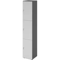 Hammerbacher Schließfachschrank grafit, lichtgrau V264L3/G/5/DS, 3 Schließfächer 40,0 x