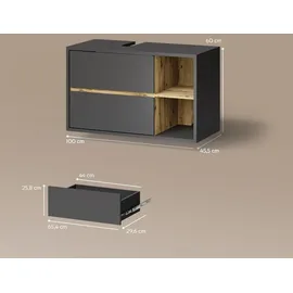livinity Waschbeckenunterschrank 100 x 60 cm Grau