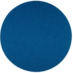 RHODIUS Klettscheibe ZSKP V | 125 mm Korn 120 | 333493