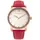Daisy Dixon DD089PRG Leder 36 mm