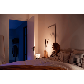 Philips Hue White & Color Ambiance Iris white