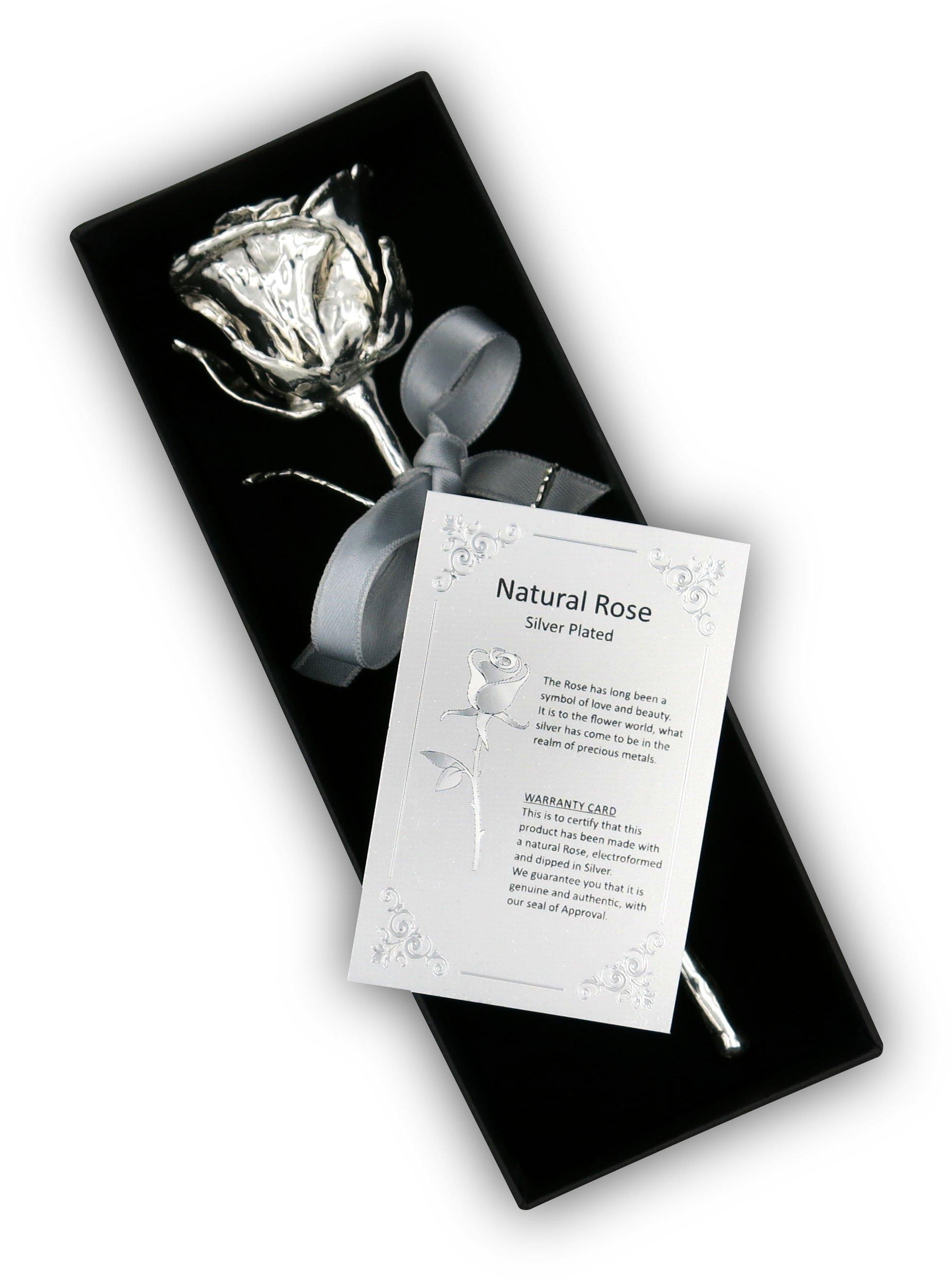 Silber-Rose 16cm | Symbol der Liebe