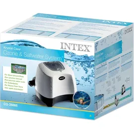 Intex Ozon- und Salzwasser-System QZ1100 weiß onesize