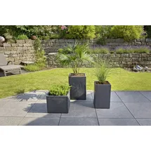 Scheurich C-Cube 240 38 x 38 x 33 cm stony black