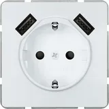 Siemens DELTA style USB-SCHUKO 5UB18701TW01