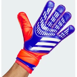 adidas Predator Training Lucid Blue/Solar Red/White 7,5