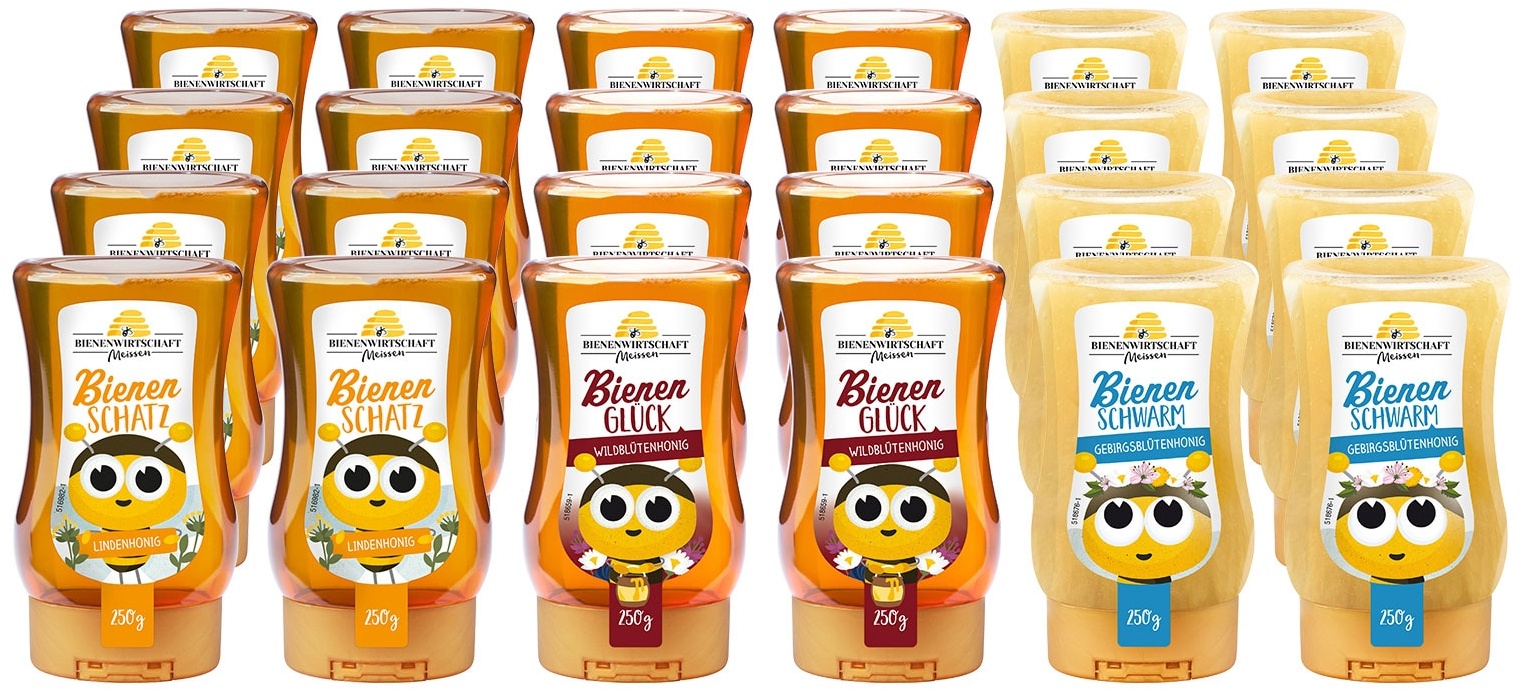 Bienenwirtschaft Meissen Bienenbande Honig 250 g, verschiedene Sorten, 24er Pack