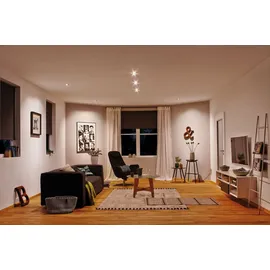 Paulmann Coin (934.46)