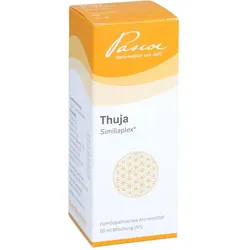 Thuja Similiaplex