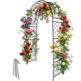 Relaxdays Rosenbogen 240 x 140 x 50 cm Schwarz