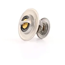 BorgWarner (Wahler) Thermostat, Kühlmittel