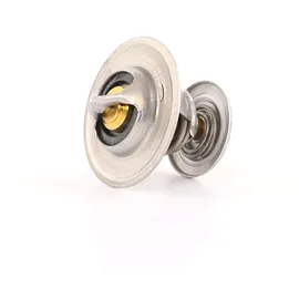BorgWarner (Wahler) Thermostat, Kühlmittel