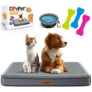 Lovpet LovPet® Hundebett orthopädisches Hundekissen Hundekorb Cookie, Inkl. Napf + 3X Kauknochen, Hundesofa für Kleine, Mittelgroße & Große Hunde, Bezug abnehmbar und waschbar