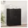 vidaXL Aktenschrank 60 x 32 x 77,5 cm Schwarze Eiche