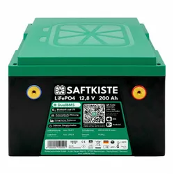 Saftkiste 200Ah LiFePO4-Batterie mit Bluetooth und DualBMS, 12V "Pole vorne"