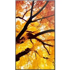 Sharp M862 Digital Signage Display 86"