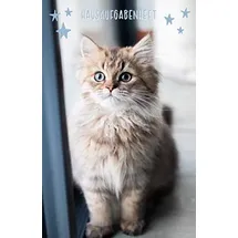 Independently published Hausaufgabenheft: mit Kätzchen / Katze, ca. A5, für 1 komplettes Schuljahr
